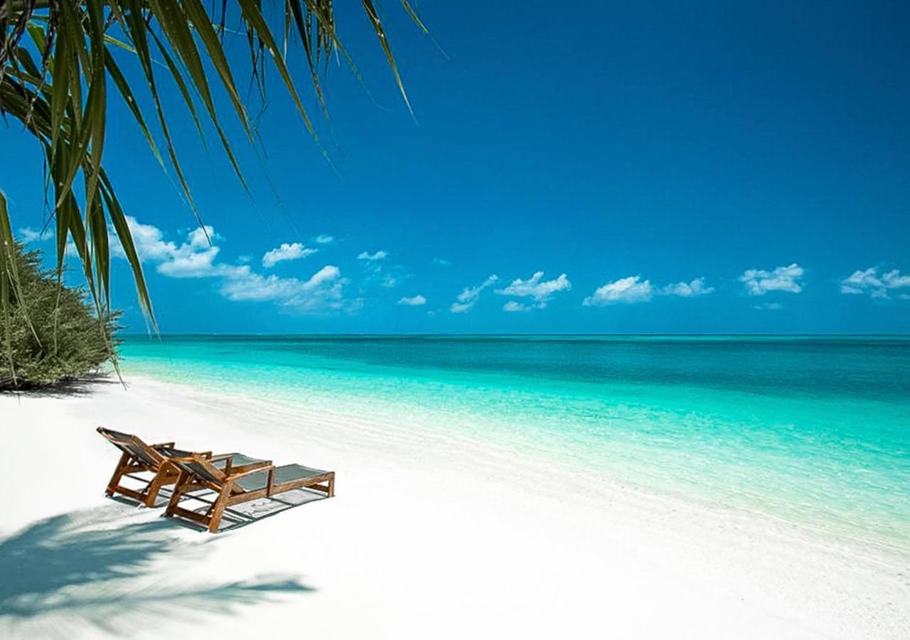 Tropical Tree Hotel Fehendhoo Bagian luar foto