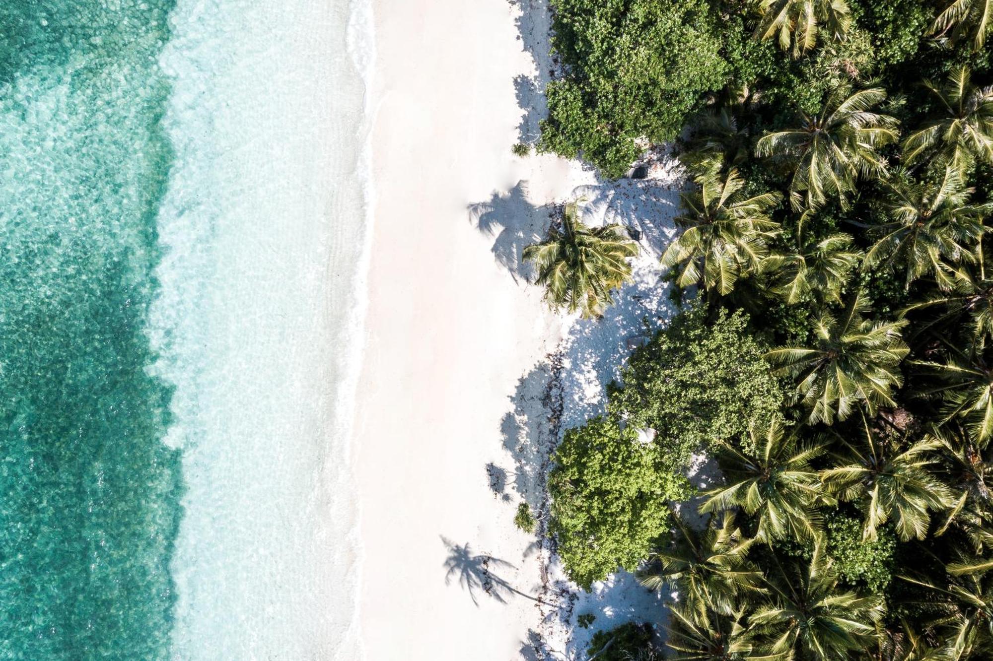 Tropical Tree Hotel Fehendhoo Bagian luar foto