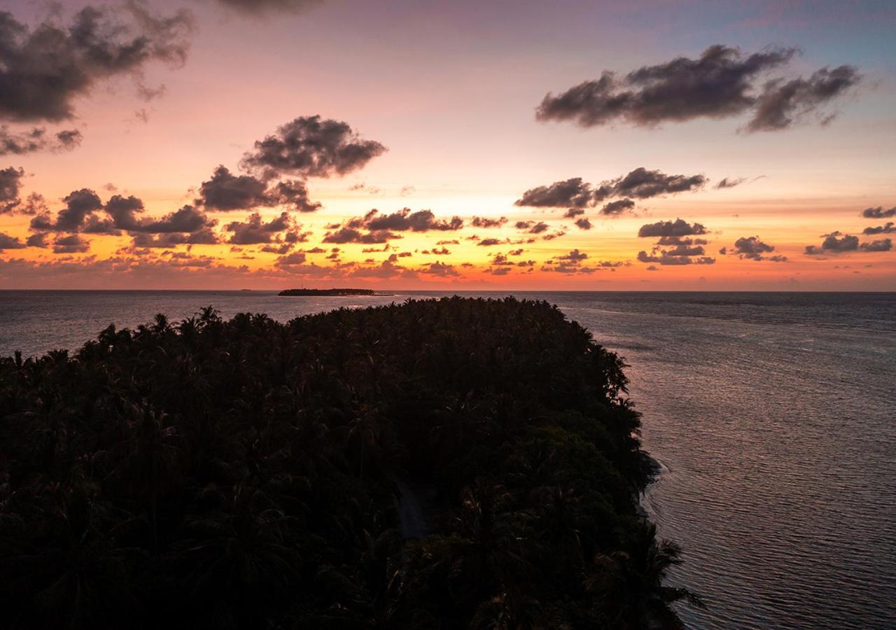 Tropical Tree Hotel Fehendhoo Bagian luar foto