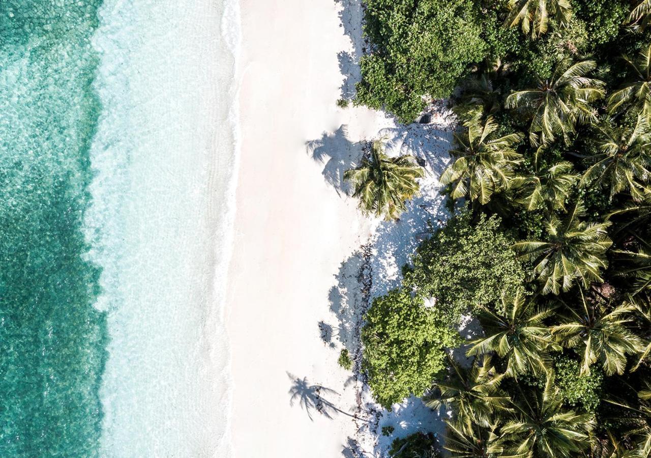 Tropical Tree Hotel Fehendhoo Bagian luar foto