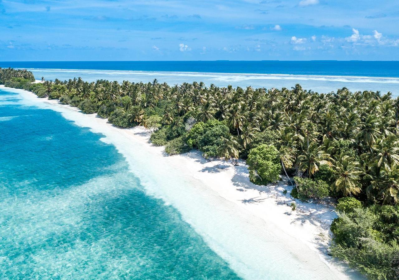 Tropical Tree Hotel Fehendhoo Bagian luar foto